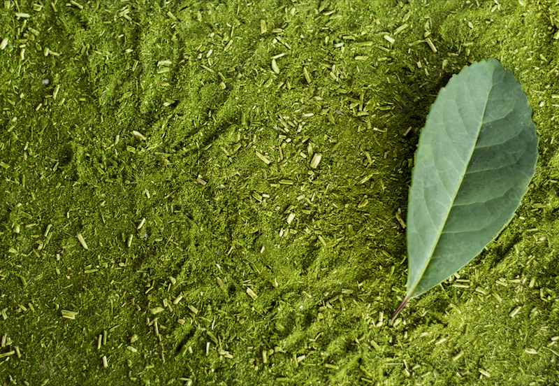 Organic Chimarrão